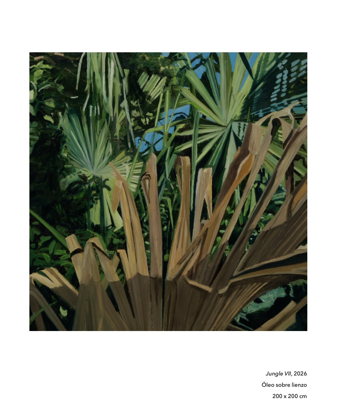 Jungle 17 